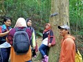 Tn 0997 IMG20151107151555